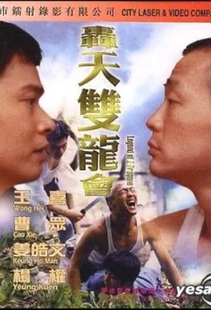 Постер: 轰天双龙会