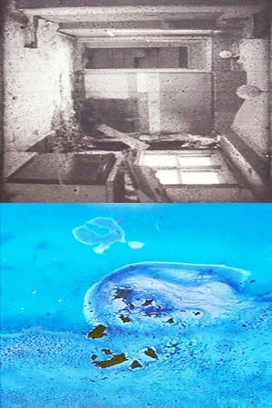 Постер: When the Seeds Say Enough