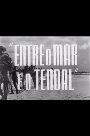Постер: Between the Sea and the Fish Line