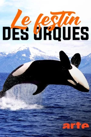 Постер: Norvège : le festin des orques