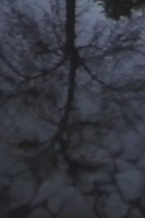 Постер: The Water Catalogue