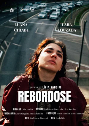 Постер: REBORDOSE