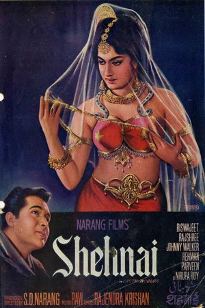 Постер: Shehnai