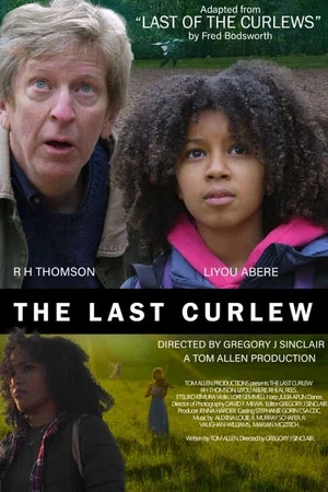 Постер: The Last Curlew