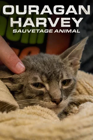 Постер: Surviving Harvey: Animals After the Storm