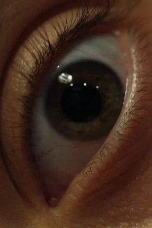 Постер: Story of the Eye