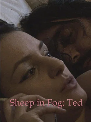 Постер: Sheep in Fog