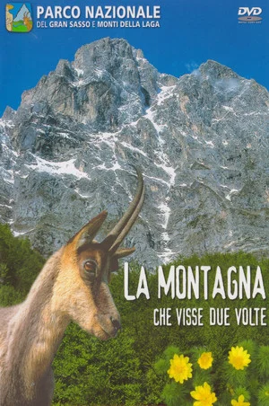 Постер: The mountain That Lived Twice