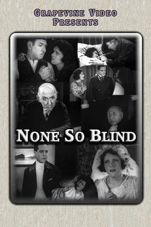 Постер: None So Blind