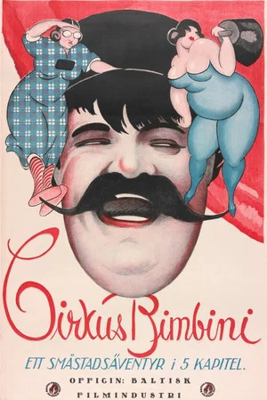 Постер: The Bimbini Circus