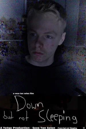 Постер: Down but not Sleeping