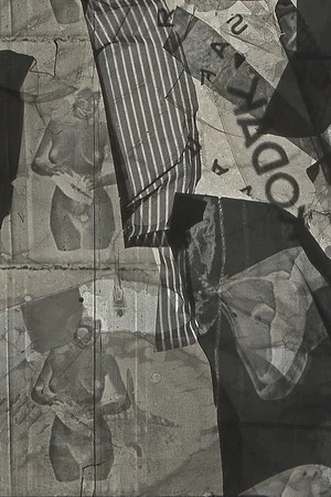 Постер: Negative / Positive Film