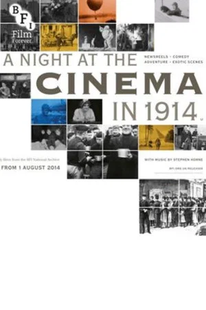 Постер: A Night at the Cinema in 1914