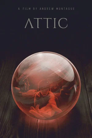 Постер: Attic
