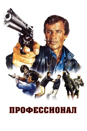 Постер: Профессионал