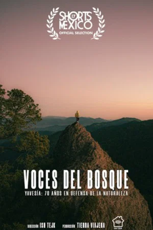 Постер: Voces Del Bosque
