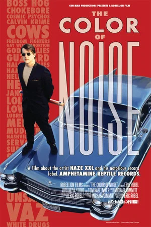 Постер: The Color of Noise