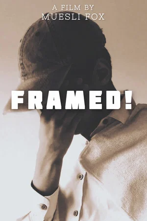 Постер: Framed!