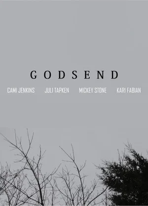 Постер: Godsend