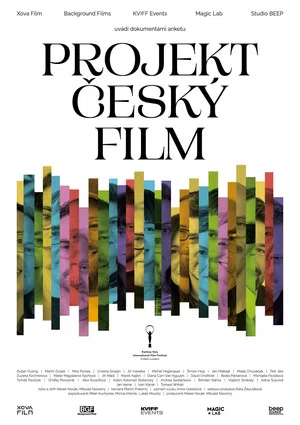 Постер: The Czech Film Project