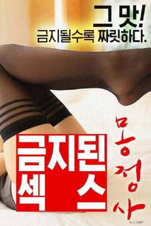 Постер: Forbidden Sex Wet Dream
