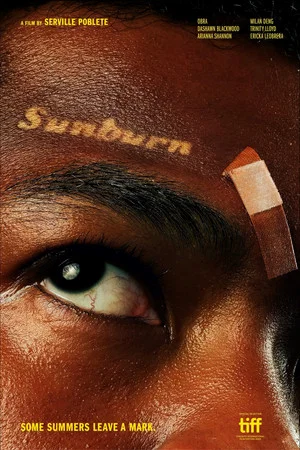 Постер: Sunburn