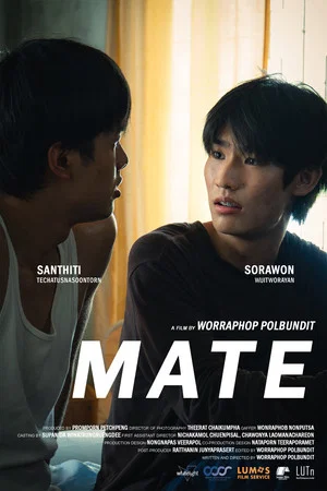 Постер: MATE