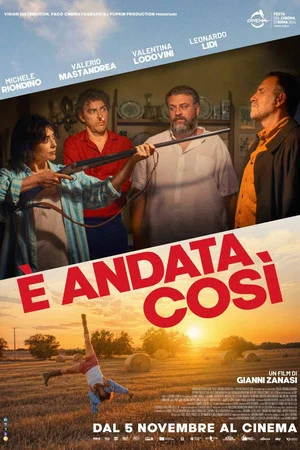 Постер: È andata così