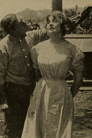 Постер: The Corporation and the Ranch Girl