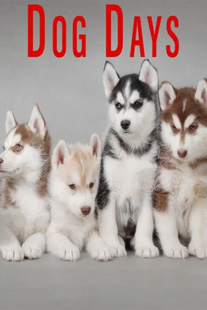 Постер: Dog Days