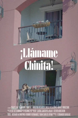 Постер: ¡Llámame Chinita!