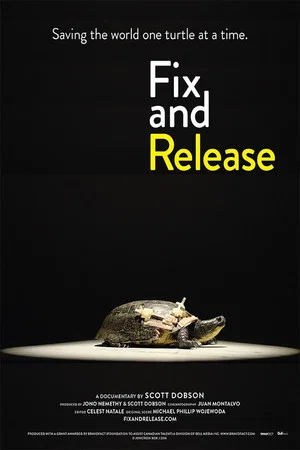 Постер: Fix and Release