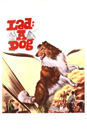 Постер: Lad: A Dog