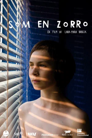 Постер: Just Like Zorro