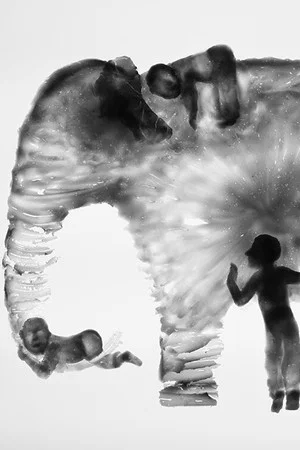Постер: Elephant
