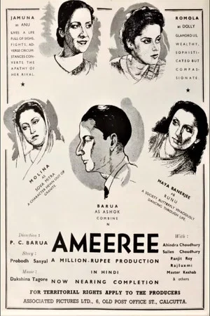 Постер: Ameeree