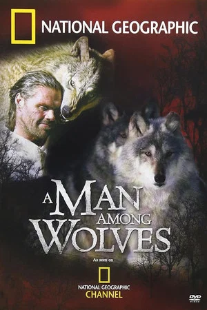 Постер: A Man Among Wolves