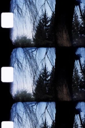 Постер: Jardin