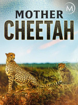 Постер: Cheetah Mom