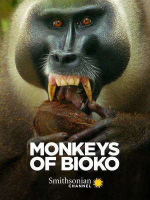 Постер: Monkeys of Bioko