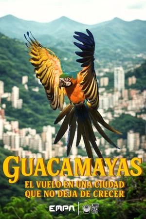 Постер: Guacamayas: El vuelo en una ciudad que no deja de crecer