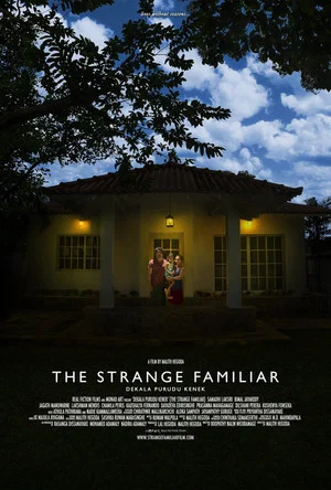 Постер: The Strange Familiar
