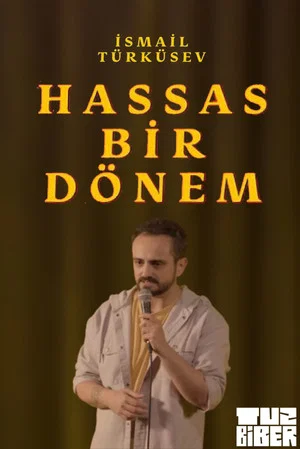 Постер: Hassas Bir Dönem - İsmail Türküsev