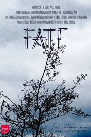 Постер: FATE