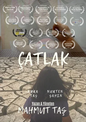 Постер: Cracked