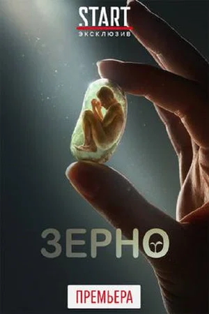 Постер: Зерно