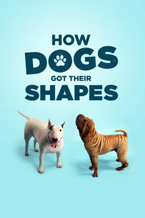 Постер: How Dogs Got Their Shapes