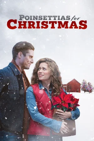 Постер: Poinsettias for Christmas