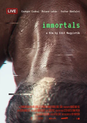Постер: immortals