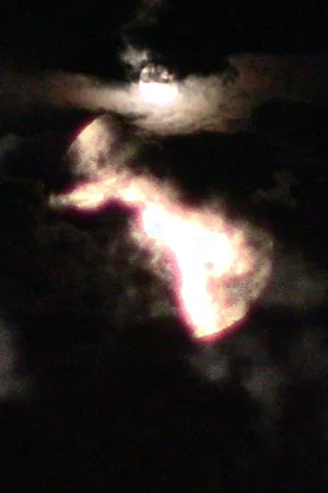 Постер: The Moon is Always So Beautiful